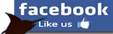 Like Rebel Sportfishing on Facebook!