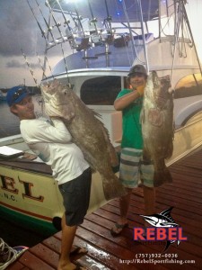 Nice Grouper Deep Drop Fishing