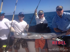 Sailfish Gallery | Acrobatic Catches off VA Beach | OBX