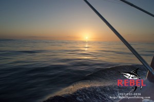 Rebel Spots a Whale Shark in Mexico