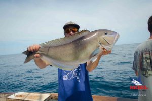 Tilefish Gallery | Deep-Water Delights from VA Beach | OBX