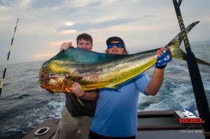 Mahi-Mahi Gallery | Colorful Catches from VA Beach | OBX