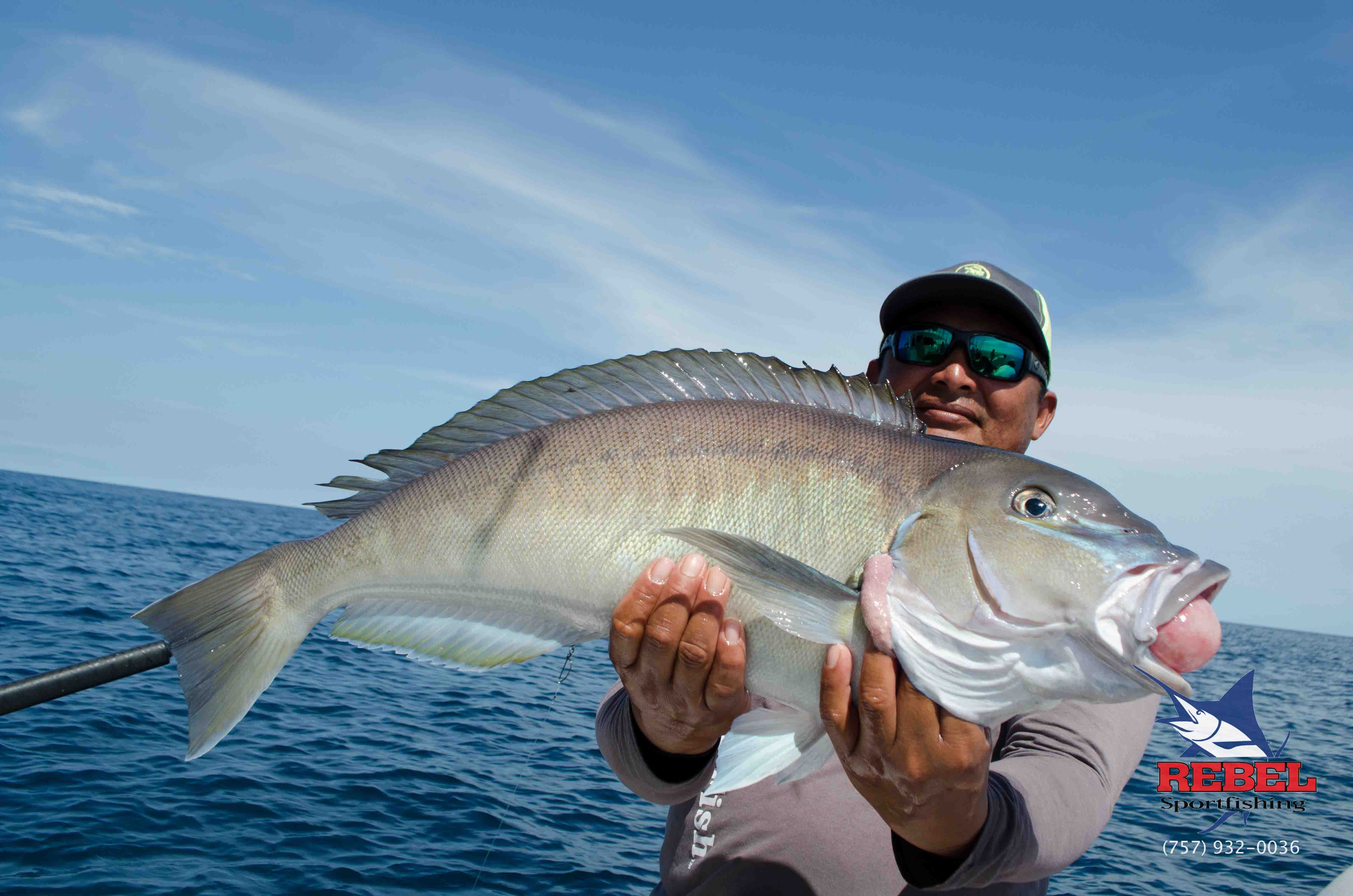 Tilefish Photos VA Beach & OBX Gallery Rebel Sportfishing