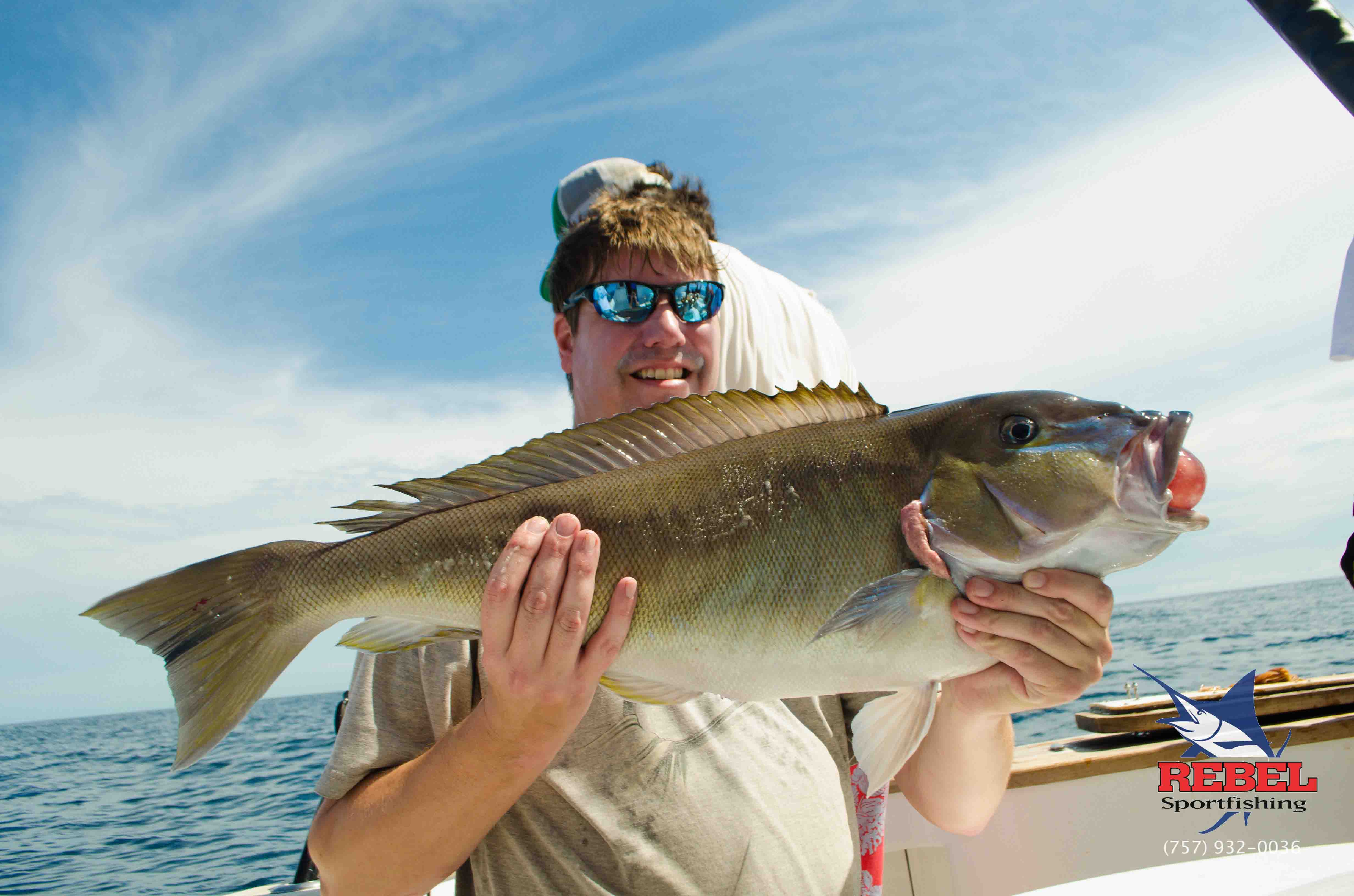 Tilefish Photos VA Beach & OBX Gallery Rebel Sportfishing
